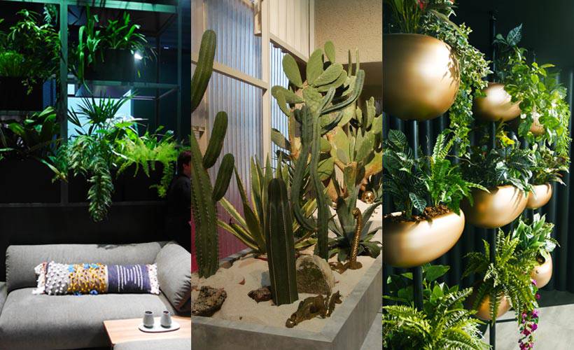 living wall idea