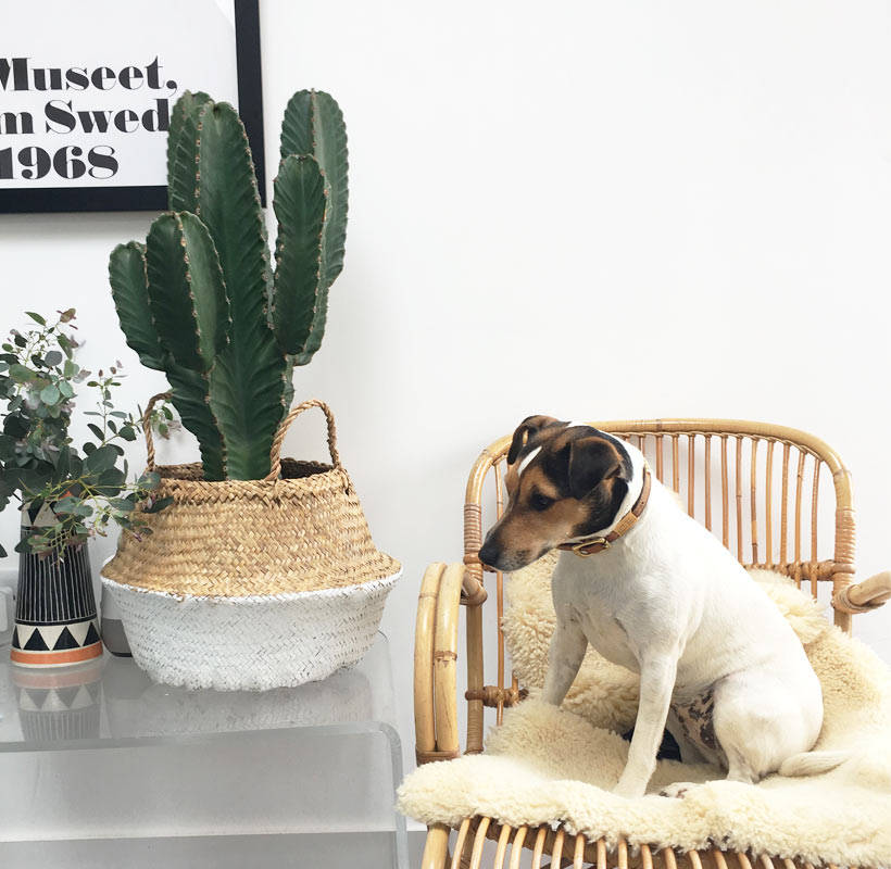 monochrome must-haves