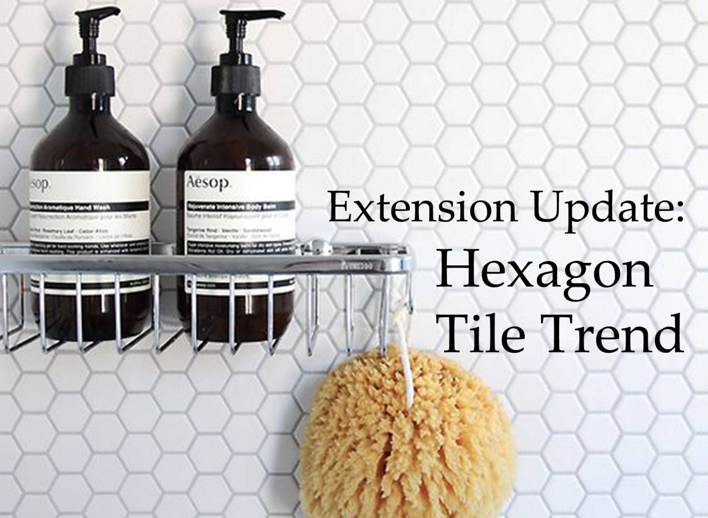 Extension Update | Hexagon Tile Trend